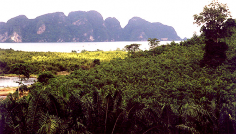 Photo Phang Nga Bay Terrain de 26700 m² à vendre