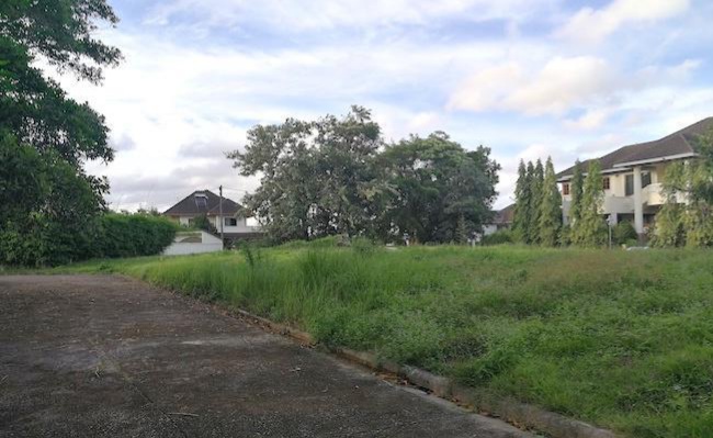 Photo 323 Sqm Plot for sale in Chalong