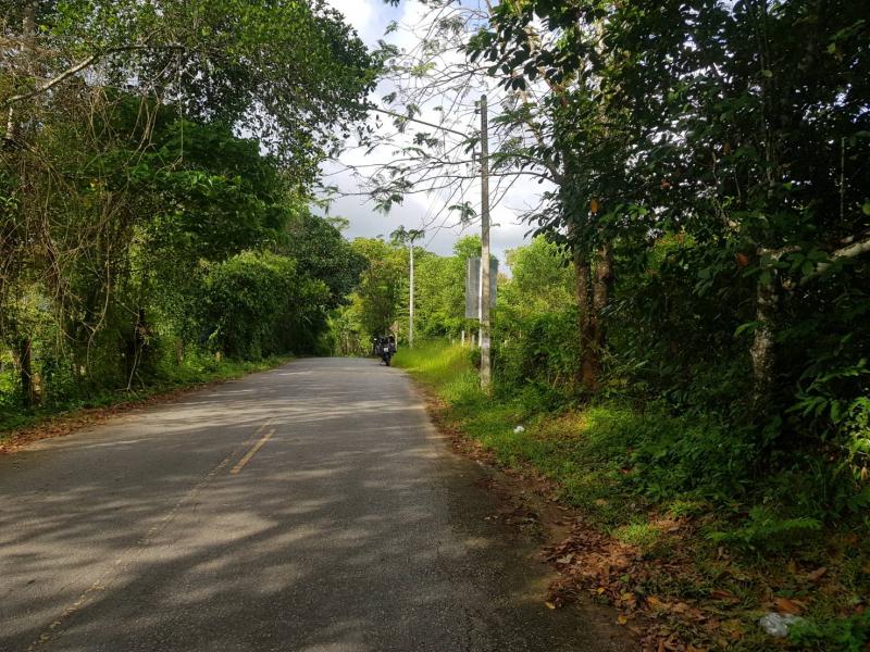 Photo Beautiful plot of 8000 m2 for sale in Layan, Phuket, Thailand