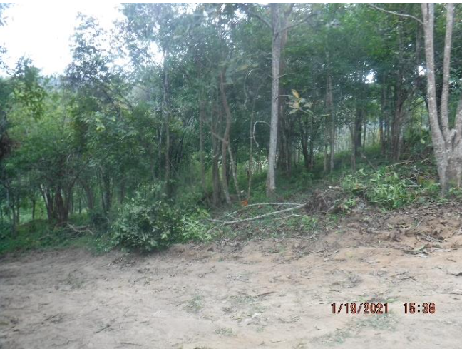 Photo Hillside Land for sale in Cherngtalay, Phuket