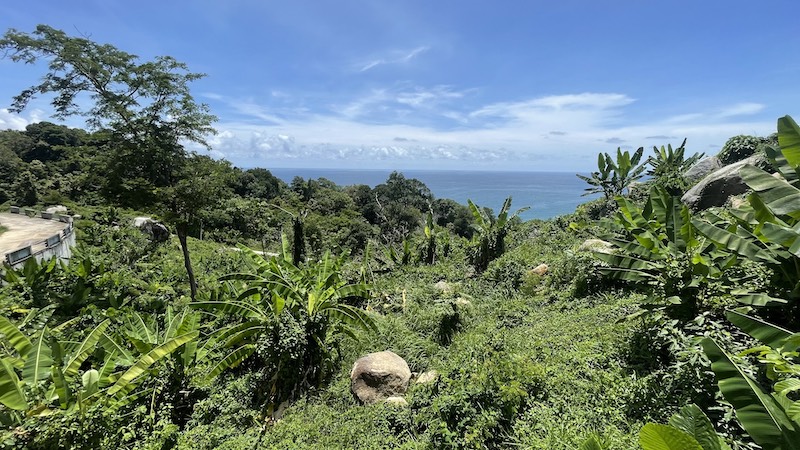 Photo Terrain avec vue sur l'océan à vendre sur la route des Millionaires à Kamala, Phuket