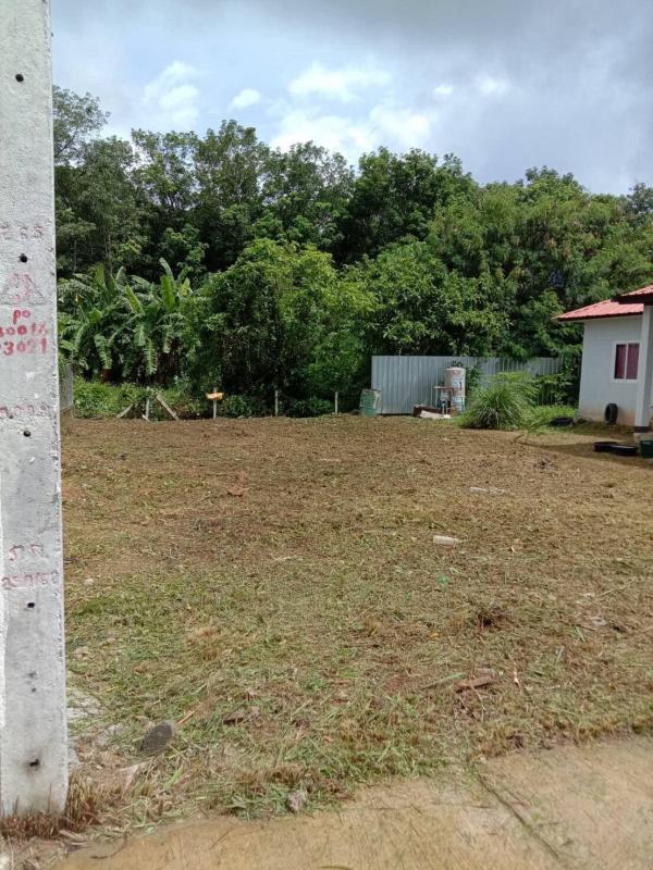 Photo Land for sale prime location in Rawai close to many beaches