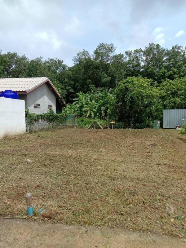Photo Land for sale prime location in Rawai close to many beaches