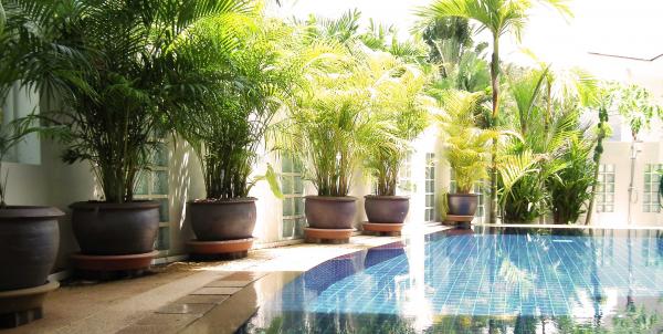 Photo Luxury 2 bedroom pool villa for rent in Phuket, Paklok