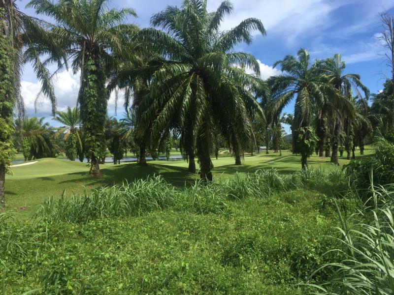 Photo Phuket land for Sale In Loch Palm Kathu