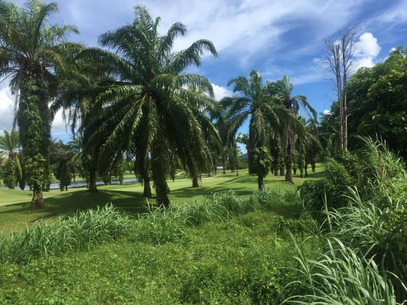 Photo Phuket land for Sale In Loch Palm Kathu