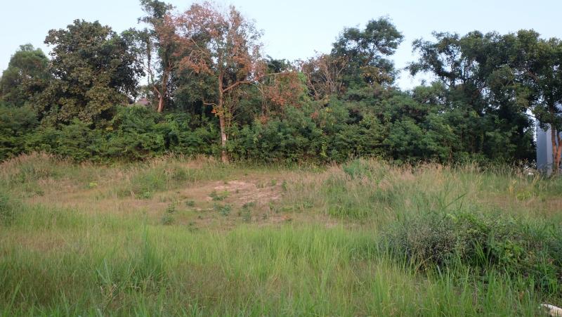 Photo Phuket land for sale in prime location of Rawai 