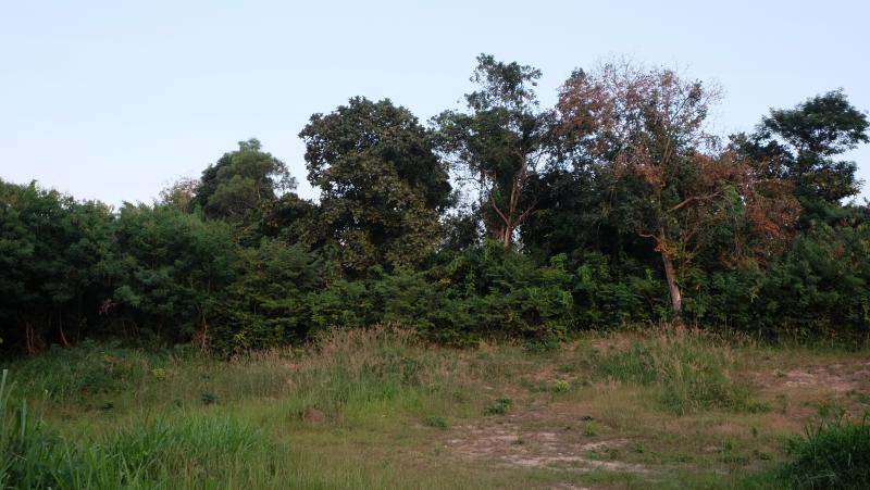 Фото Продажа земли на Пхукете в престижном районе Раваи