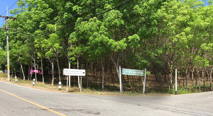 Photo phuket-large-seafront-plot-for-sale-in-ao-po