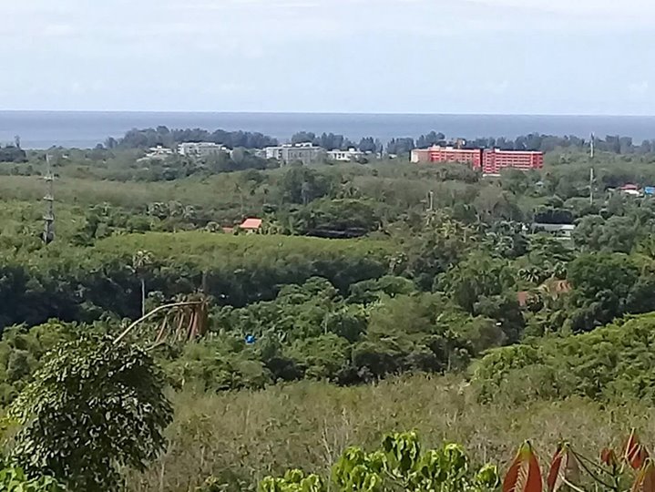 Фото Пхукет с видом на море Земля в Май Кхао на продажу