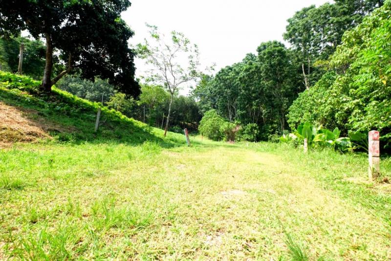 Photo Superb plot of land for Sale in Nai Harn, Phuket